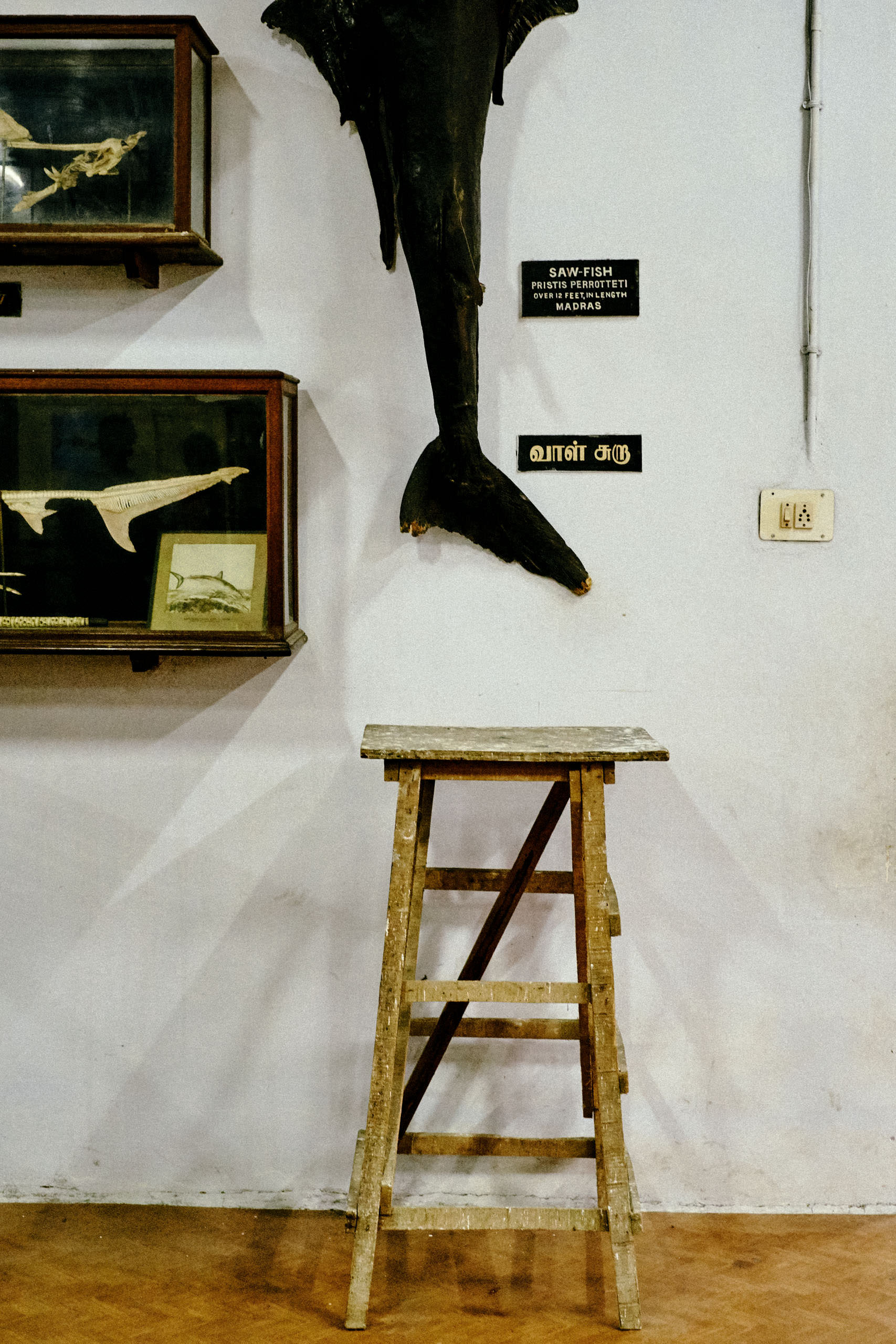 Government Art Museum Chennai